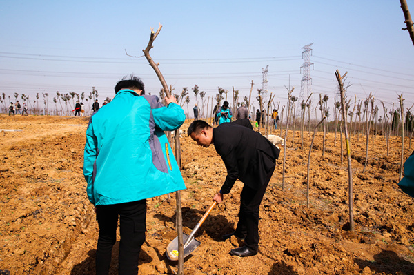 “攜手植樹(shù)，共創(chuàng)藍(lán)天”丨南京新華師生共筑新華育才林