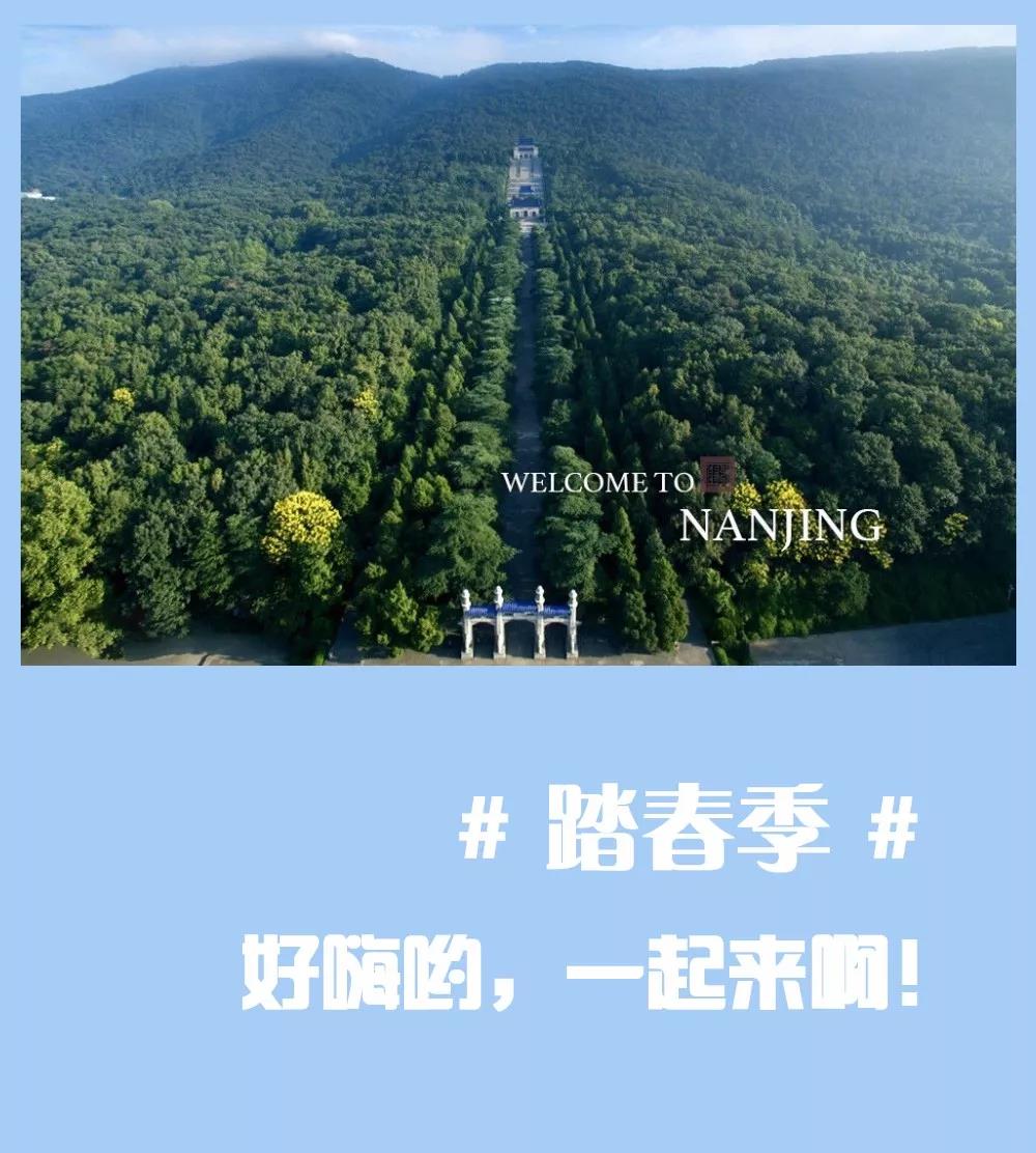 安排上了，南京新華邀你共赴免費(fèi)體驗(yàn)營