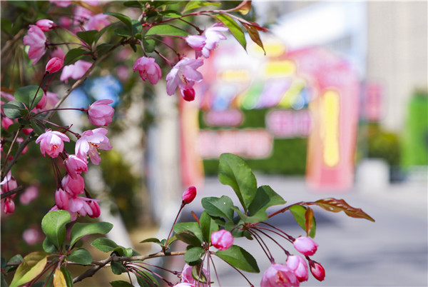 春暖花開，等你歸來——邀你云賞南新春景，以慰思念