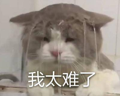 勁爆！新華電腦教育服務(wù)旗艦店正式入駐天貓，課程1折秒殺！