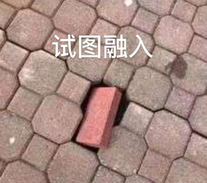 新華互聯(lián)網(wǎng)科技正式入駐Bilibili！會(huì)摩擦出什么樣火花呢？